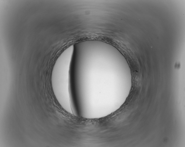 X0000092220865200709140919