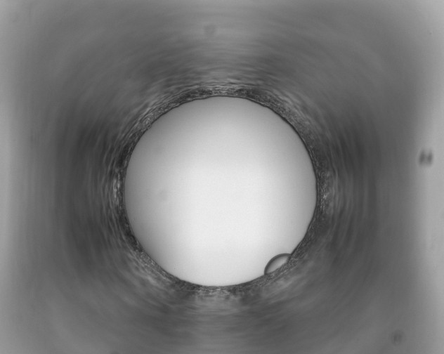X0000092220866200709140919
