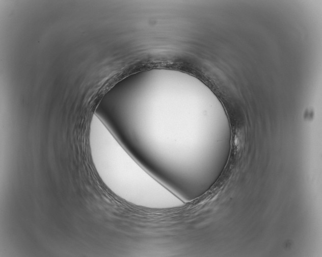 X0000092220867200709140919