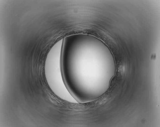 X0000092220868200709140919