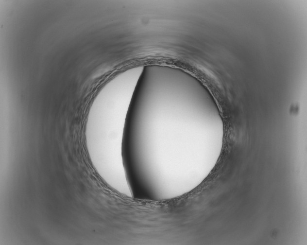 X0000092220869200709140919