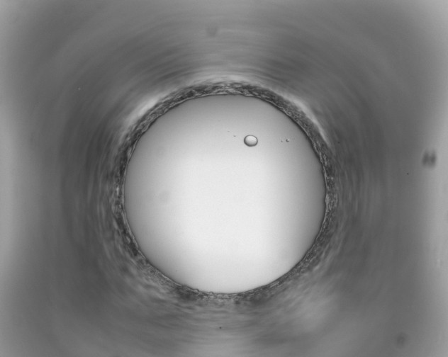 X0000092220871200709140919