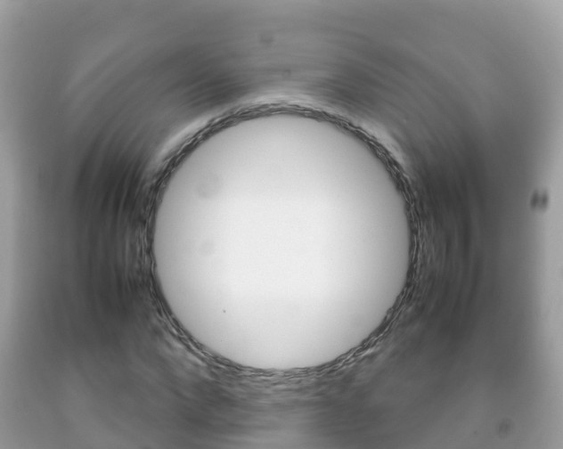 X0000092220872200709140919