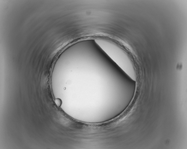X0000092220873200709140919