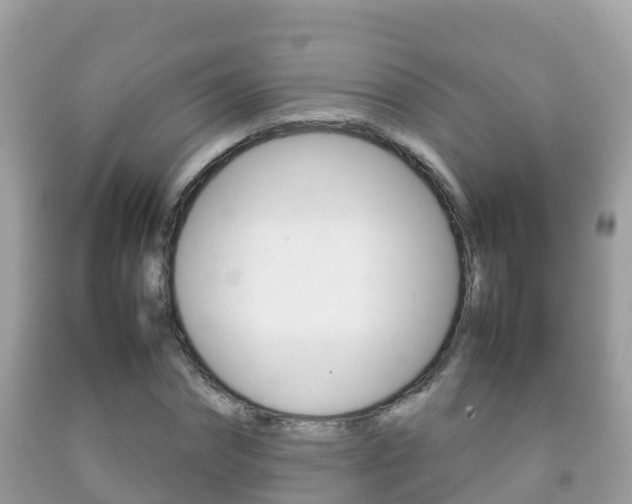 X0000092220874200709140919