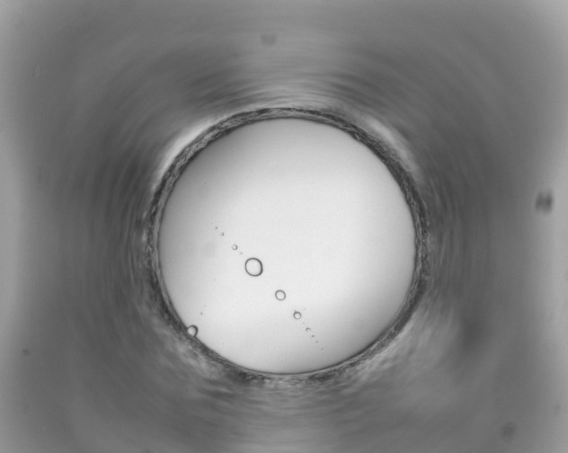 X0000092220875200709140919