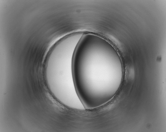 X0000092220876200709140919