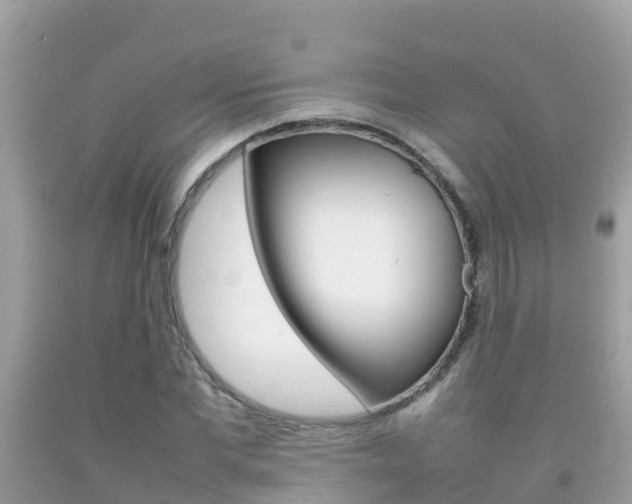 X0000092220877200709140919