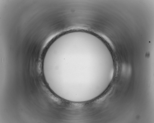 X0000092220878200709140919