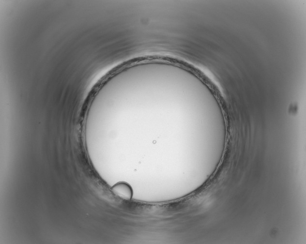 X0000092220879200709140919