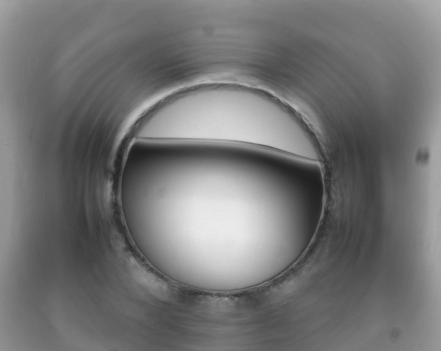 X0000092220880200709140919