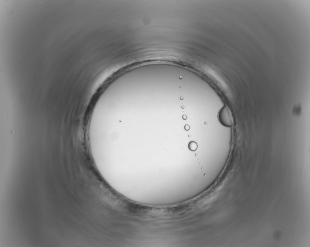 X0000092220883200709140919
