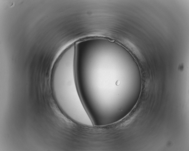 X0000092220884200709140919