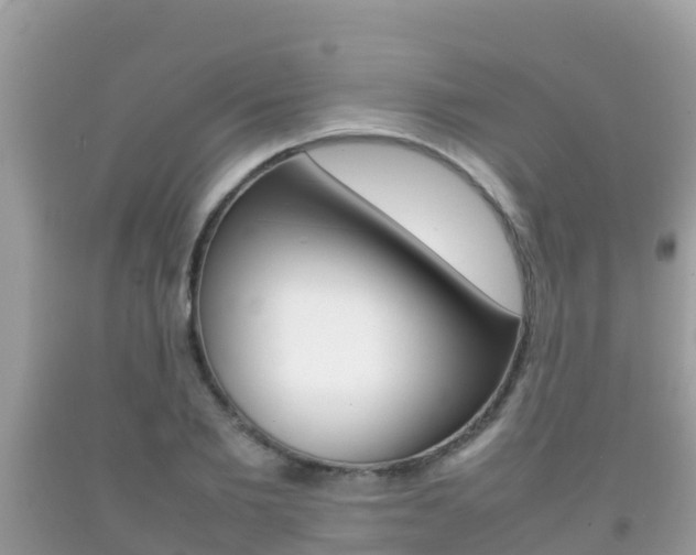 X0000092220885200709140919