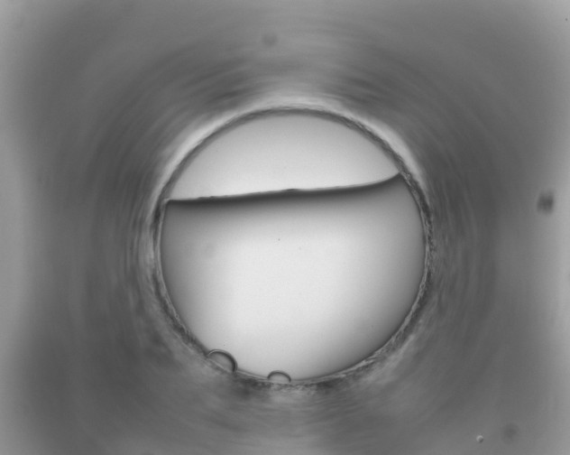X0000092220887200709140919