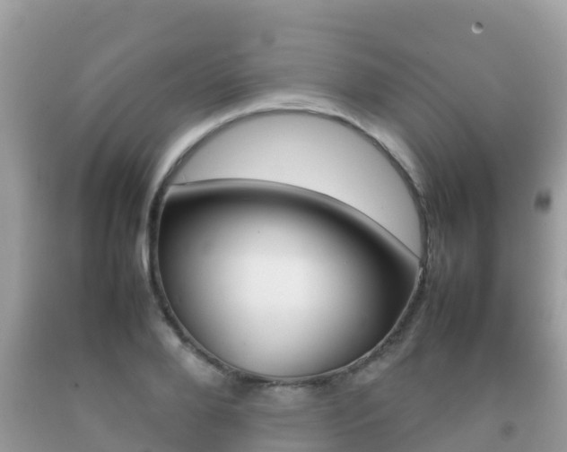 X0000092220888200709140919