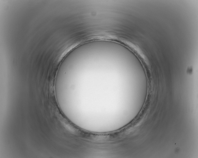 X0000092220889200709140919