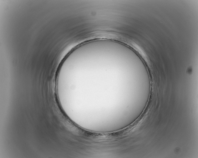 X0000092220891200709140919