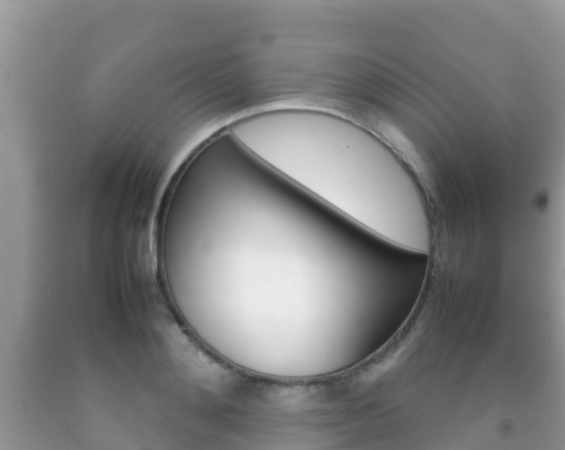X0000092220892200709140919