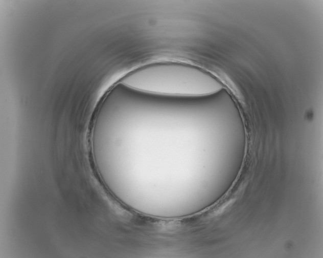 X0000092220893200709140919