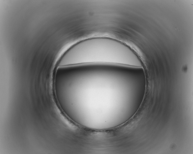 X0000092220894200709140919