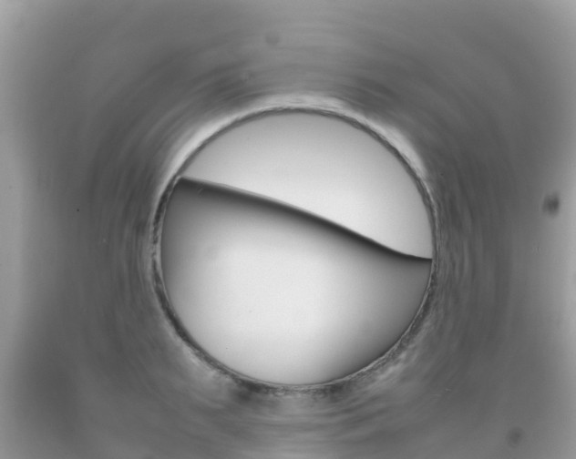 X0000092220895200709140919