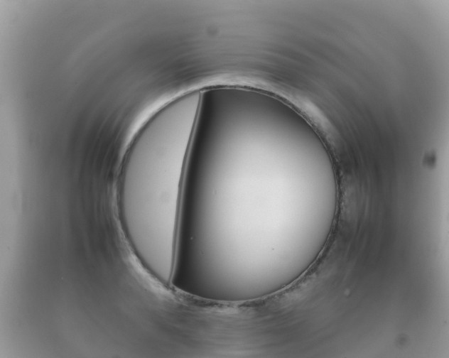 X0000092220896200709140919