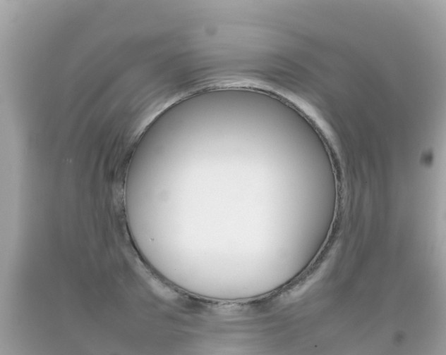 X0000092220897200709140919