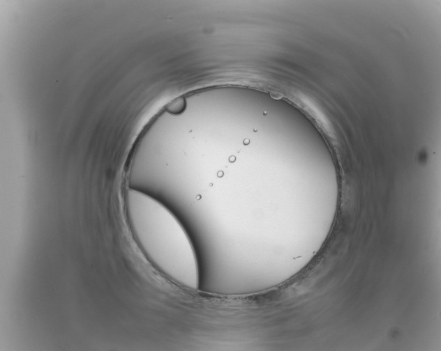 X0000092220899200709140919