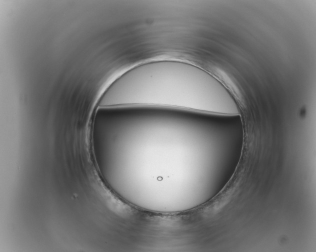 X0000092220900200709140919