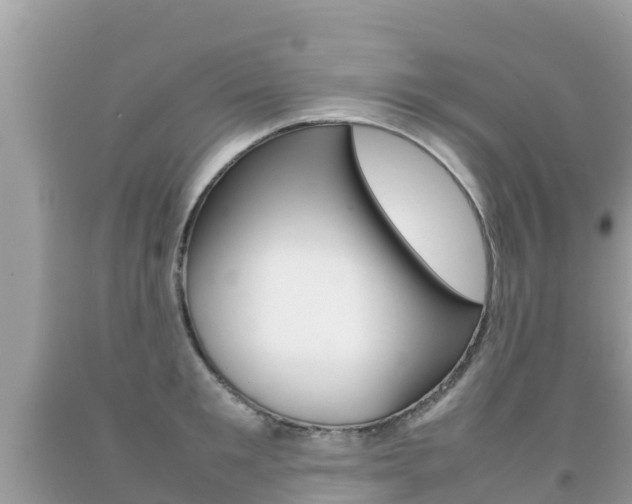 X0000092220901200709140919