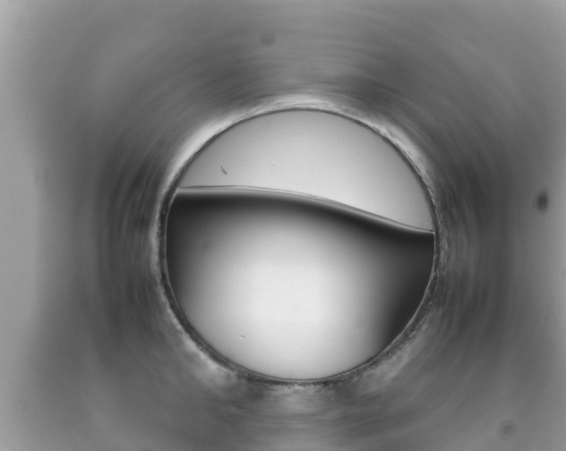 X0000092220902200709140919