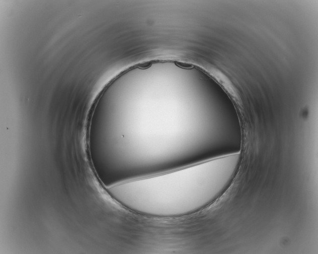 X0000092220904200709140919