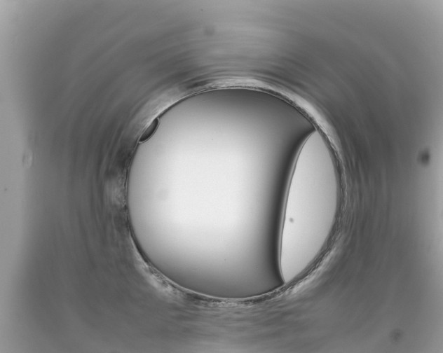 X0000092220905200709140919