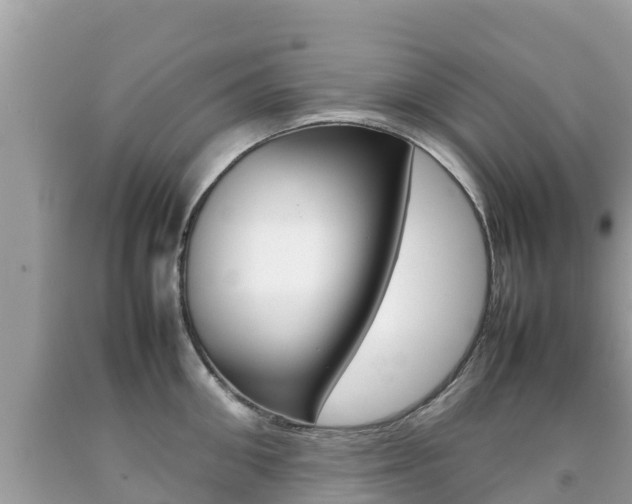 X0000092220906200709140919