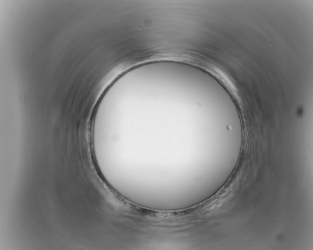 X0000092220907200709140919