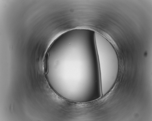 X0000092220908200709140919