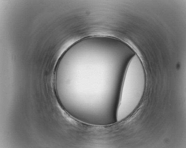 X0000092220909200709140919