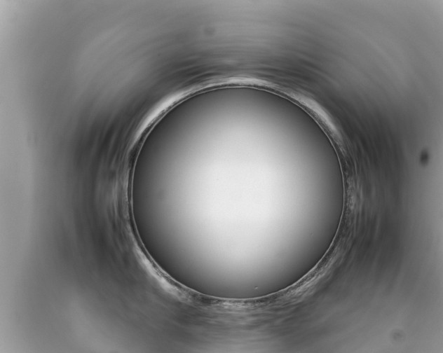 X0000092220910200709140919