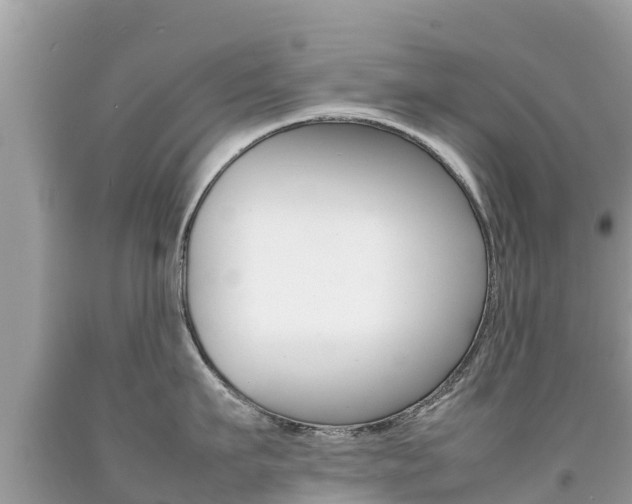 X0000092220911200709140919