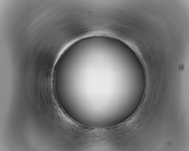 X0000092220912200709140919