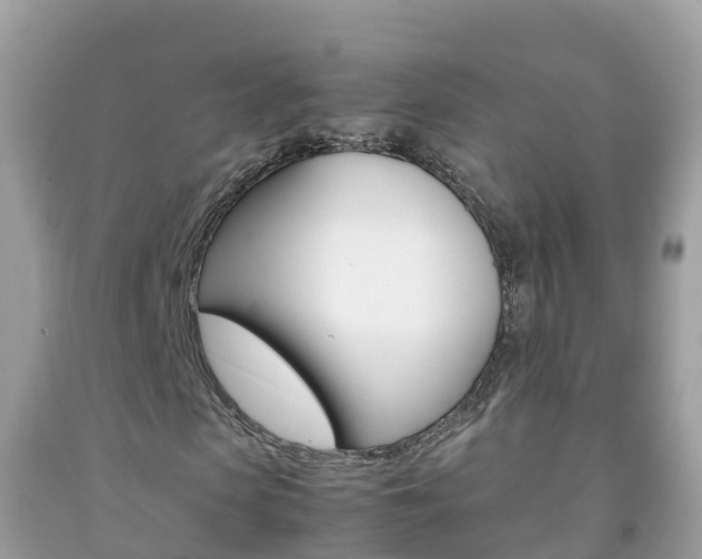 X0000092220913200709140918