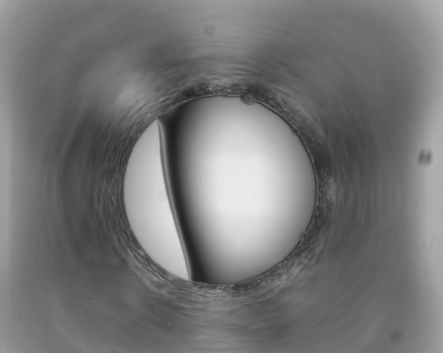 X0000092220914200709140918