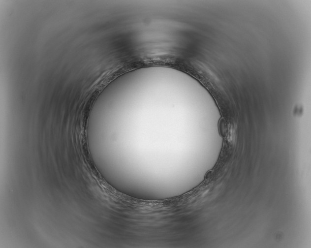 X0000092220915200709140918