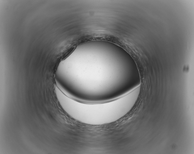 X0000092220916200709140918