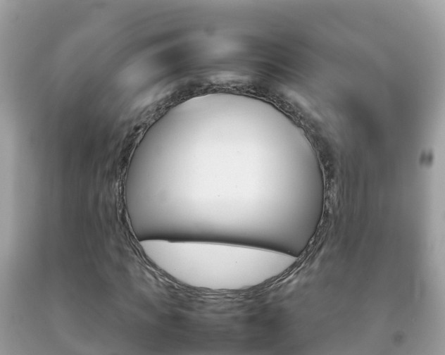 X0000092220917200709140918