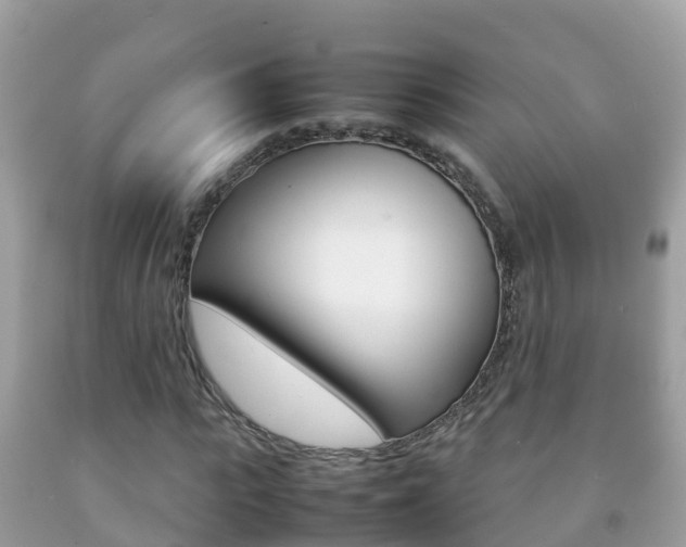 X0000092220919200709140918