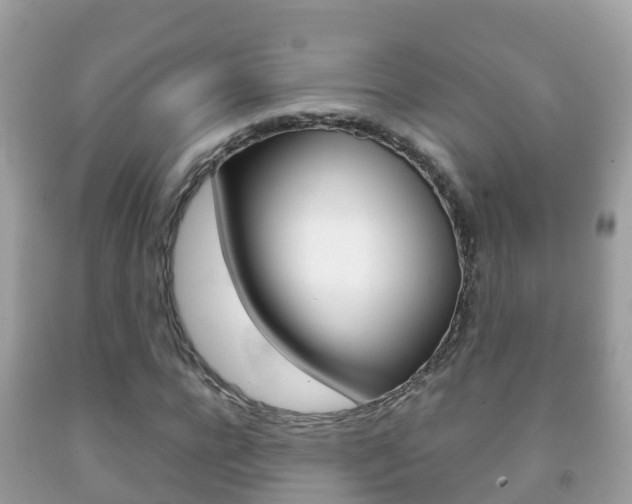X0000092220920200709140918