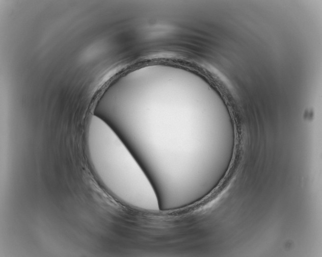 X0000092220921200709140918