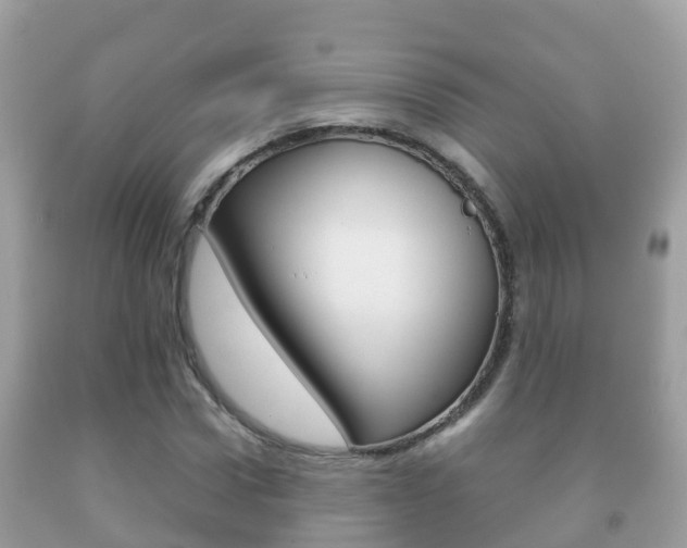 X0000092220922200709140918